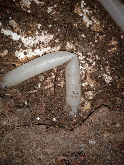 融安堵点精准查找